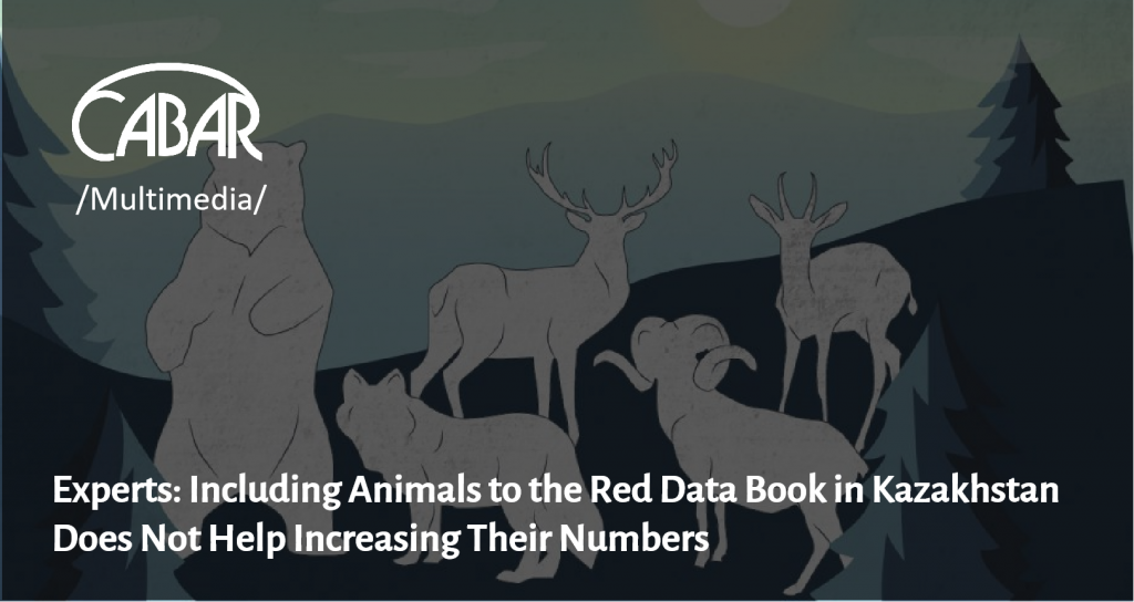 Experts: Including Animals to the Red Data Book in Kazakhstan Does Not Help  Increasing Their Numbers 