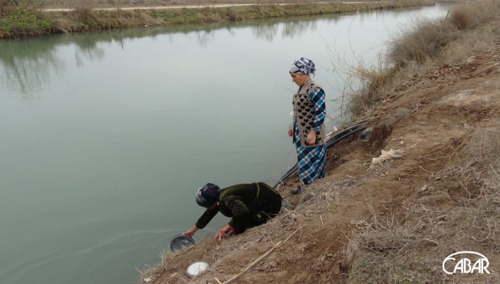 Погода вахш таджикистан на 10 дней. Река Вахшский район. Река Вахш. Речка питьевая. Рыбы реки Вахш.