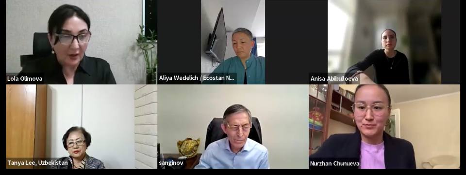 Screenshot from the expert meeting: "Environmental Culture, Awareness and Education of Central Asian Countries' Residents"