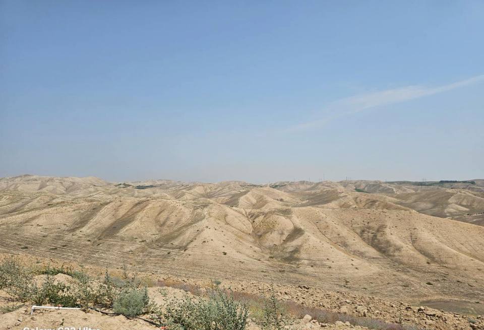 Dry lands that Otabek wants to cover with forest trees. Photo: CABAR.asia