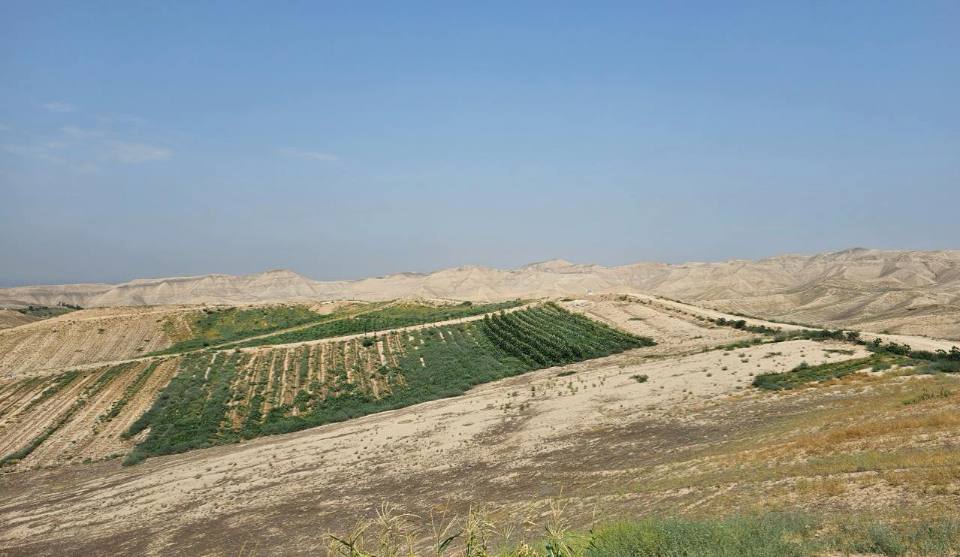 A forest will soon cover these dry hills. Photo: CABAR.asia